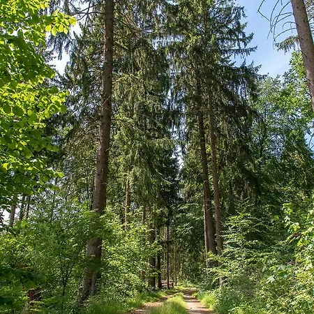 Bungis Ferien Direkt Am Grimnitzsee, Karree 04 Holiday home Joachimsthal